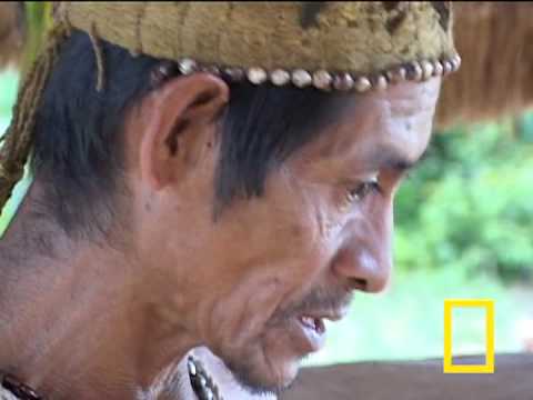 Rain Forest Shaman