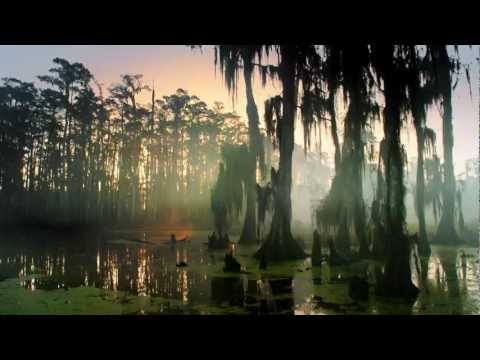 Swamp People Super Bowl Ad