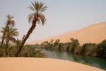 Laghi di Ubari - An Urabi oasis lake, with native grasses and Date palms.