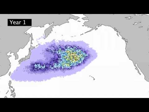 Japan Tsunami Debris Tracked Across Pacific Ocean