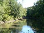 The Sangamon River near Decatur is a principal tributary of the Illinois River, approximately 246 miles (396 km) long,[1] in central Illinois in the United States.