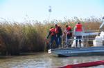 NEW ORLEANS - Gulf Coast Incident Management Team response workers place aluminum pie pans to discourage birds from landing in areas oiled by the Deepwater Horizon spill near Venice, LA., Jan 7, 2011.