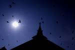 Pigeons fly outside a Mosque of Mir Sayyid Ali Hamdani, better known as Shah Hamdan in Srinagar, the summer capital of Indian Kashmir, India on 03 November 2011.