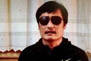 Chen Guangcheng