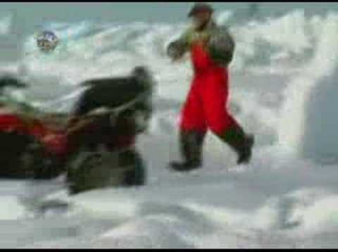 Seal hunting or sealing