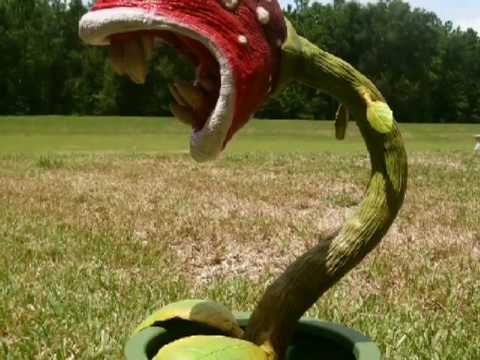 Making a Piranha Plant