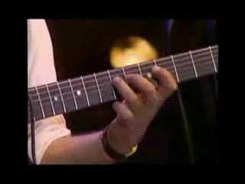 Bireli Lagrene Guitar Solo- Vienne Song