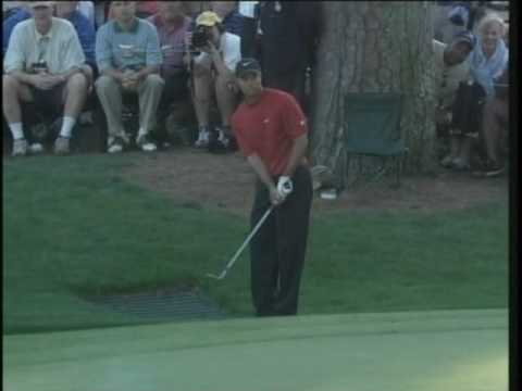 Tiger Woods Chip at the 2005 Masters