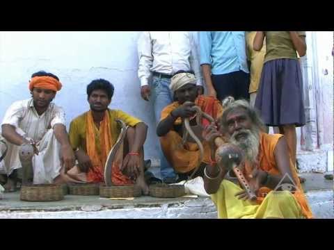 HD - India - Cobra Snake Charmer in an Agra Temple