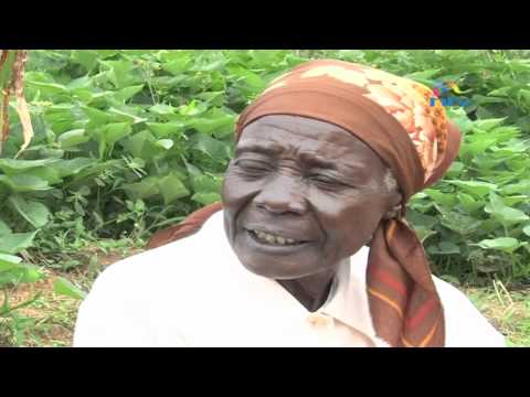 Busia grannies bear brunt of HIV/Aids pandemic