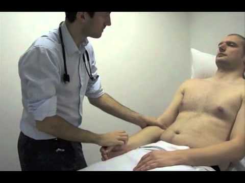 Cardiovascular Examination