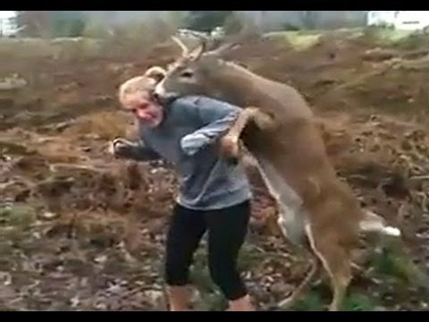 Deer Tries to Mate with Girl (Uncut Video)