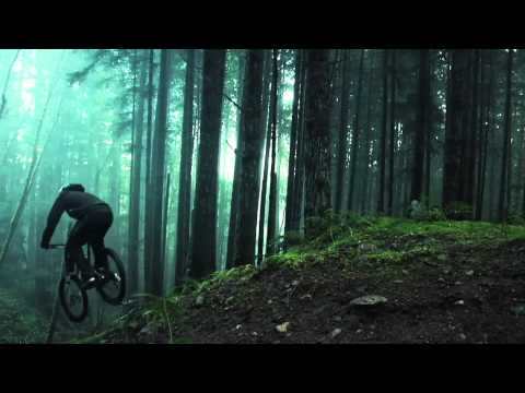 Amazing Freeride Forest