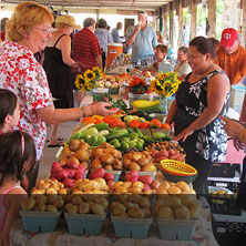 Find a Farmers' Market