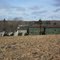 Alder Point Cape Breton Unemployed Lobster Traps