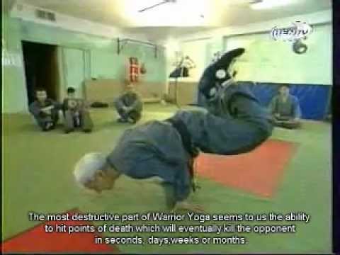 5000 year old Aryan martial art