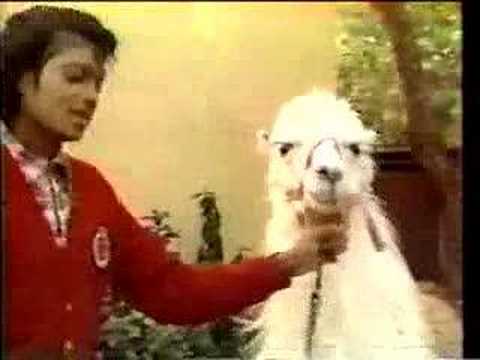 Michael Jackson and Louie the Llama