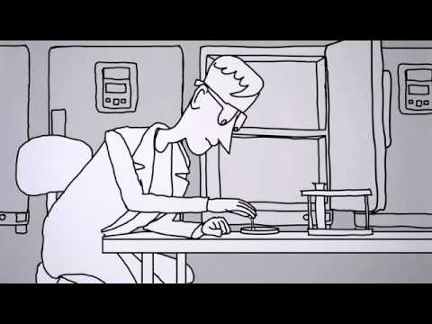 MRSA Animation (2011)