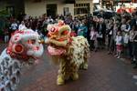 Chinese Lion Dancing outside Ashfield Mall during Ashfield's Big Yum Cha, part of the Sydney International Food Festival. Ashfield is a suburb of Sydney in the state of New South Wales (NSW), Australia.