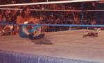 Many of Roberts' storylines revolved around the use of his snake Damien, seen here in the middle of the ring.