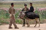 Talking to An Afghan Boy. U.S. Navy Hospitalman Matthew Pukey, center, a corpsman with 1st Platoon, India Company