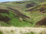 The Lammermuir Hills, usually simply called the Lammermuirs (An Lomair Mòr in Gaelic) (occasionally anglicised Lammermoors), in southern Scotland, form a natural boundary between Lothian and the Scottish Borders.