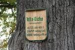 Alte Eiche (“Fat Oak”) (dicke Eiche) – a roughly 300-year-old natural monument in the village’s southwest (on the Schneidkaul road extension)