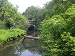 Entering the Botanical Garden. During the 19th and 20th centuries, the river became a natural sewer into which industrial waste was being poured every day.