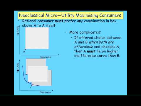 Keen Behavioural Finance 2011 Lecture01 Economic Behaviour Part 1