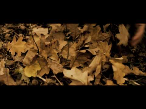 Big Scary - Autumn (The Big Scary Four Seasons LP - 2010)