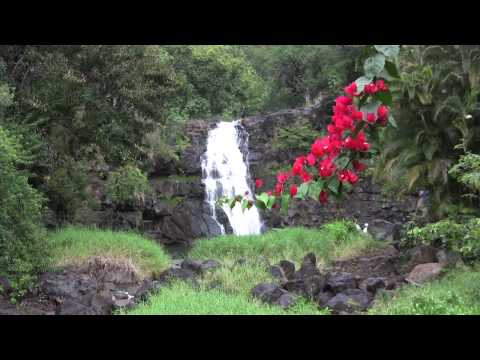 Oahu Attractions - Waimea Falls