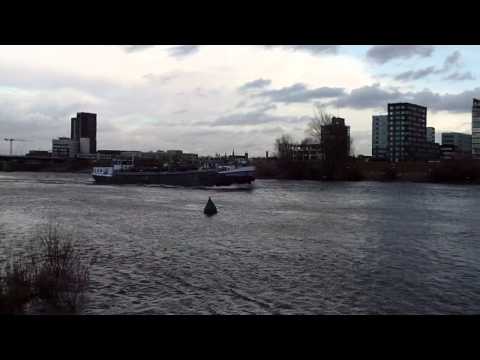 Big Boat meeting and a lot of Birds at River the Meuse Venlo the Netherlands Dec 6,2011