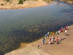 Loads of fishes in Tunga River. The matha at Sringeri is known as Sringeri Sharada Peetham. It is one of the four Hindu Advaita maths established by Adi Shankaracharya.