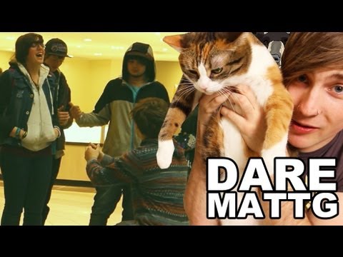 Dare MattG - 24 (Marriage Proposal Fail, Naked Men, Cat Taco)