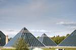 The Muttart Conservatory is a botanical garden located in the North Saskatchewan river valley, across from downtown Edmonton. The conservatory consists of four glass, pyramid-shaped structures that showcase plants from arid, tropical, and temperate climates, providing a welcome oasis of warmth during winter. The fourth pyramid hosts a theme that changes throughout the year.