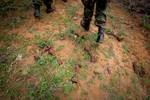 SOMALIA, Afgoye: In a photograph released by the African Union-United Nations Information Support Team 24 May, Ugandan soldiers serving with the African Union Mission in Somalia (AMISOM) walk past sepnt munitions suspected to have been used to make improvised explosive devices (IEDs) by the Al-Qaeda-affiliated extremist group Al Shabaab near the outskirts of Afgoye town, located to the west of the country's capital Mogadishu. A joint AMISOM and Somali National Army (SNA) advance called 'Operatio