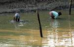 INDIA-VILLAGER-RECOVER-EMPTY-CATRIDGES-PONDThe CBI officials seen standing beside a pond in Netai village of Lalgarh on Sunday from where empty cartridges were recovered as evidence of carnage in Eastern India ------ WN/BHASKAR MALLICK