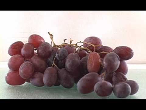 Grapes to Raisins Time Lapse