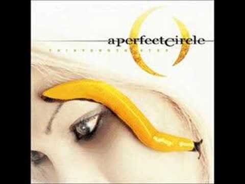 10. Pet - A Perfect Circle