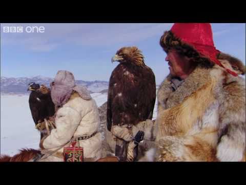 Fox Hunting with a Golden Eagle - Human Planet: Mountains, preview - BBC One