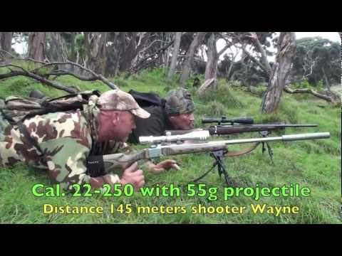 Hunting Fallow deer in New Zealand#62