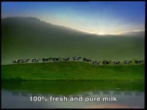 Happy Cows: Vinamilk 100% fresh milk