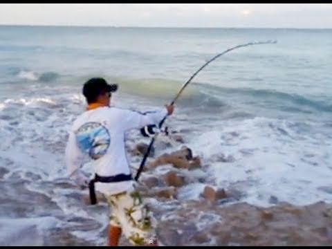 Big Game Fishing from Shore