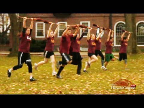 Harvard Quidditch