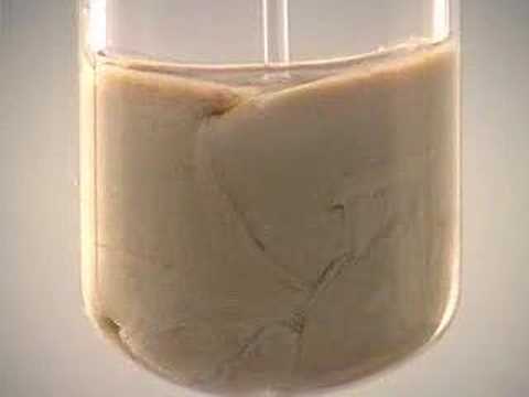 Reaction of Silver Nitrate with Sodium Hydroxide