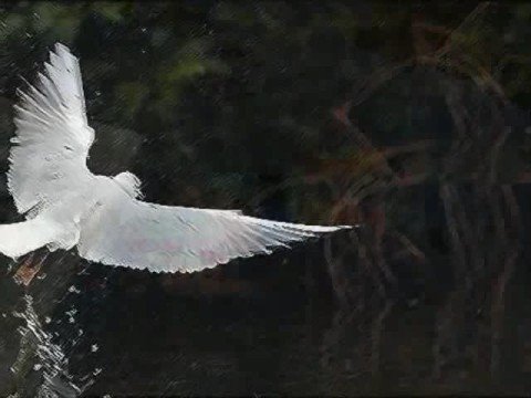 Joan Baez - All My Trials