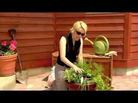 How to Plant a Potted Herb Garden