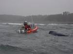 RYE, N.H. Coast Guard crewmen from Station Portsmouth Harbor pull one of three men from 57-degree water about a mile off the coast of Rye, N.H., Friday, June 24, 2011. The men were knocked in the water after a wave came over the stern of their 18-foot boat and capsized it when they were recreational lobstering. Photo courtesy of the New Hampshire Fish and Game. (1296069) ( U.S. Coast Guard rescues 3 from cold water after boat capsizes )