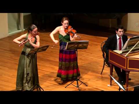 JSBach - Brandenburg Concerto No.5 in D BWV1050 - Croatian Baroque Ensemble