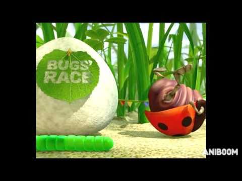 Bugs Race - Funny Brilliant Animation by Anna Jurkiewicz & Andrzej Ellert